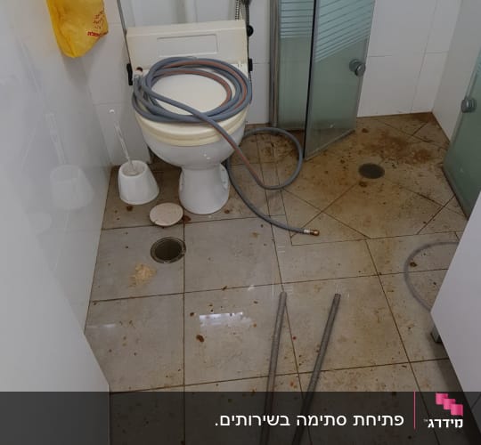 צינור על אסלה, רצפה רטובה, כלים סניטריים